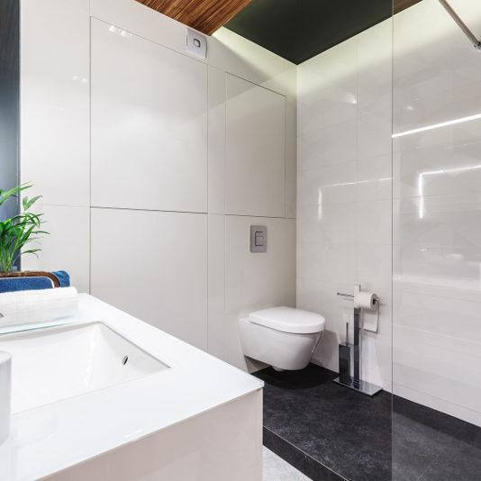 White sink in modern bathroom interior with toilet, glaze and plant armatura kanalizacyjna stargard